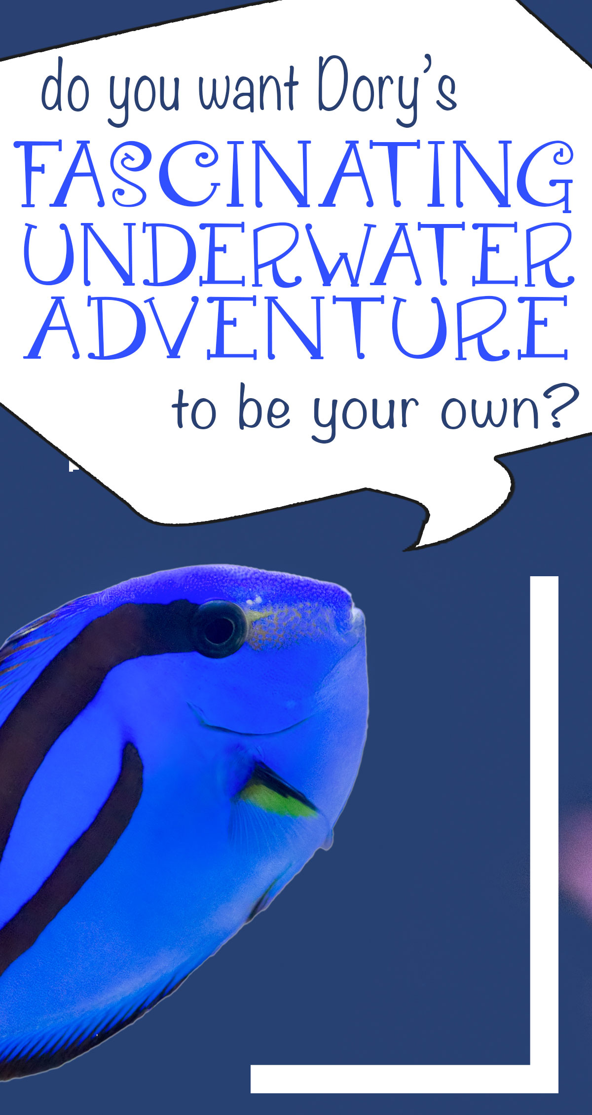 Do You Want Dory's Fascinating Underwater World to be Your Own Pin